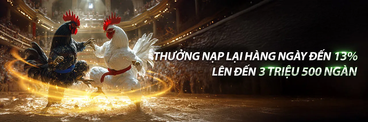 Sân đá gà 88 trực tuyến tại 68good88 với các trận đấu kịch tính